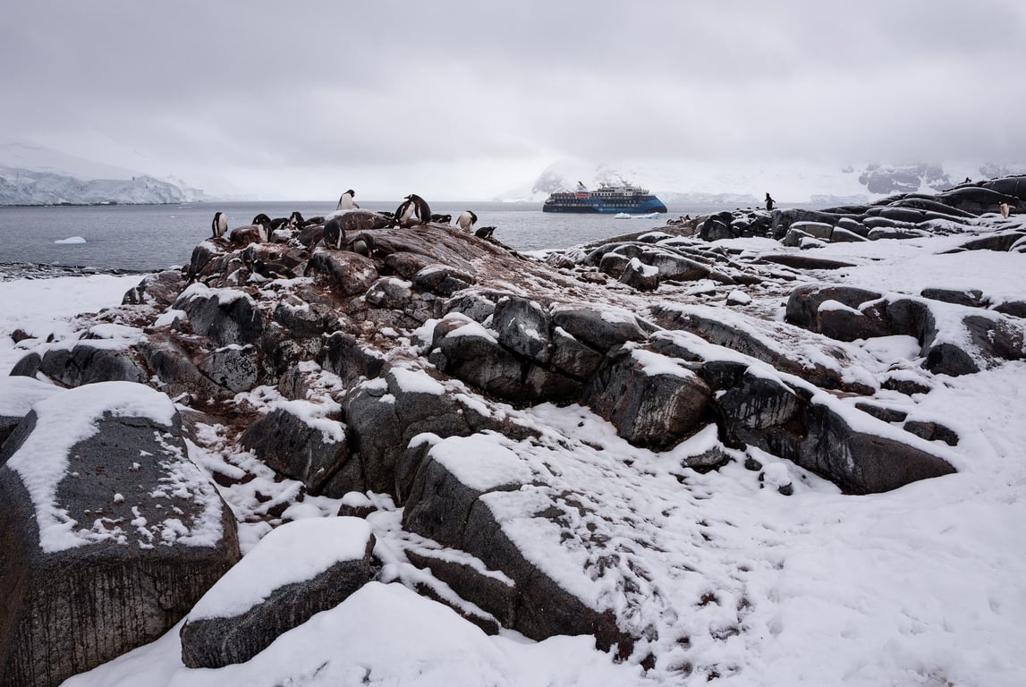 Epic Falklands, South Georgia & Antarctica